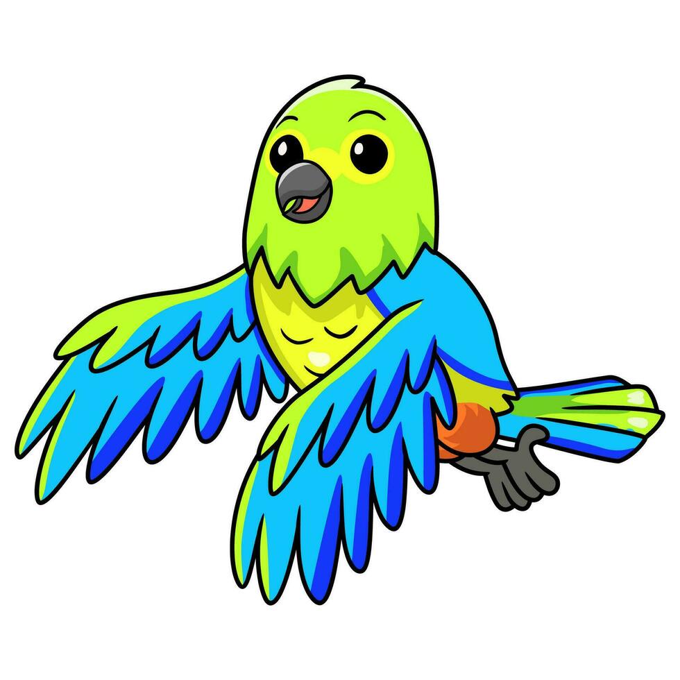 Cute orange bellied parrot cartoon flying vector