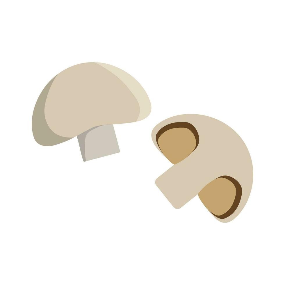 Isolated vector illustration of a champignon on white background