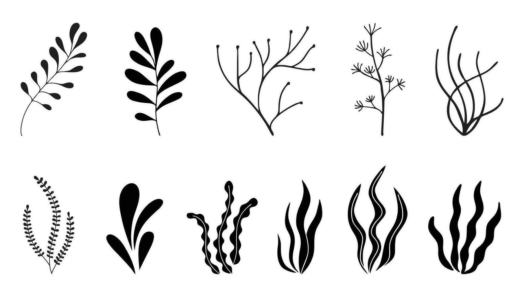 Set of seaweed icons. Marine plants are isolated on white background. Vector illustration