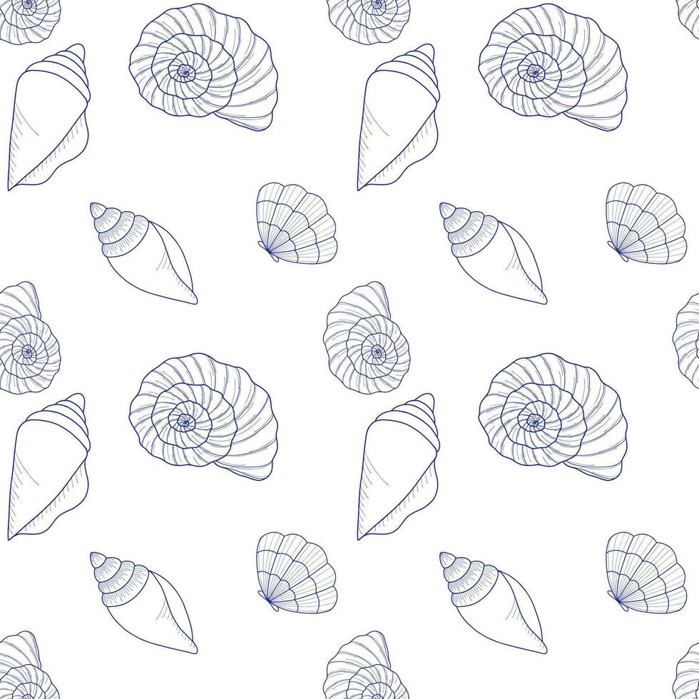 Seamless vector pattern on the marine theme. Various seashells with a blue line on a white background