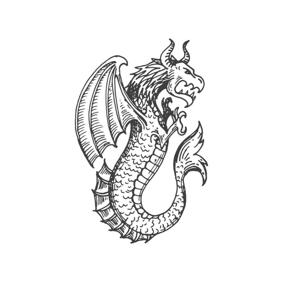 Medieval heraldic, fantasy animal, monster sketch vector