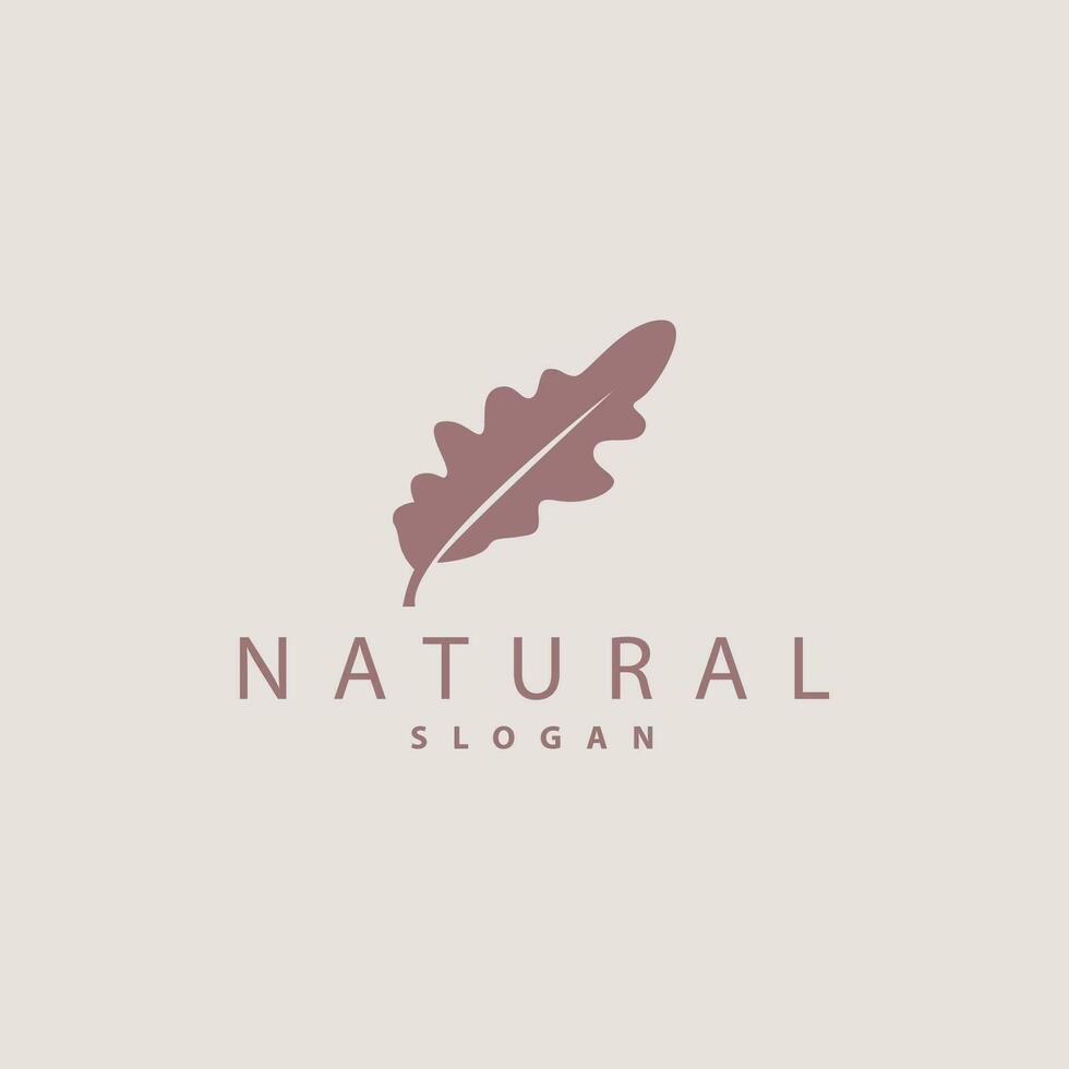 Leaf Logo, Oak Leaf Logo Design, Minimalist Natural Plant Tree Vector, Illustration Template vector