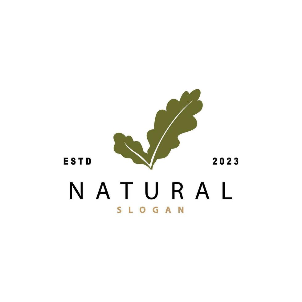 Leaf Logo, Oak Leaf Logo Design, Minimalist Natural Plant Tree Vector, Illustration Template vector