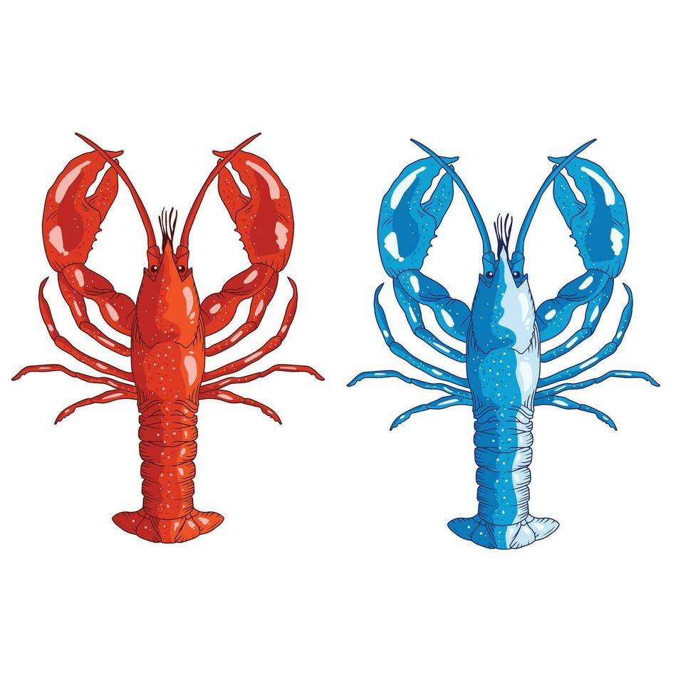 seafood lobster vector