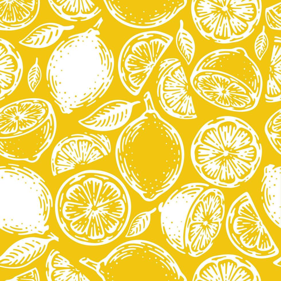 doodle hand drawn lime and lemon seamless pattern. Tropical summer citrus fruit vintage style. vector