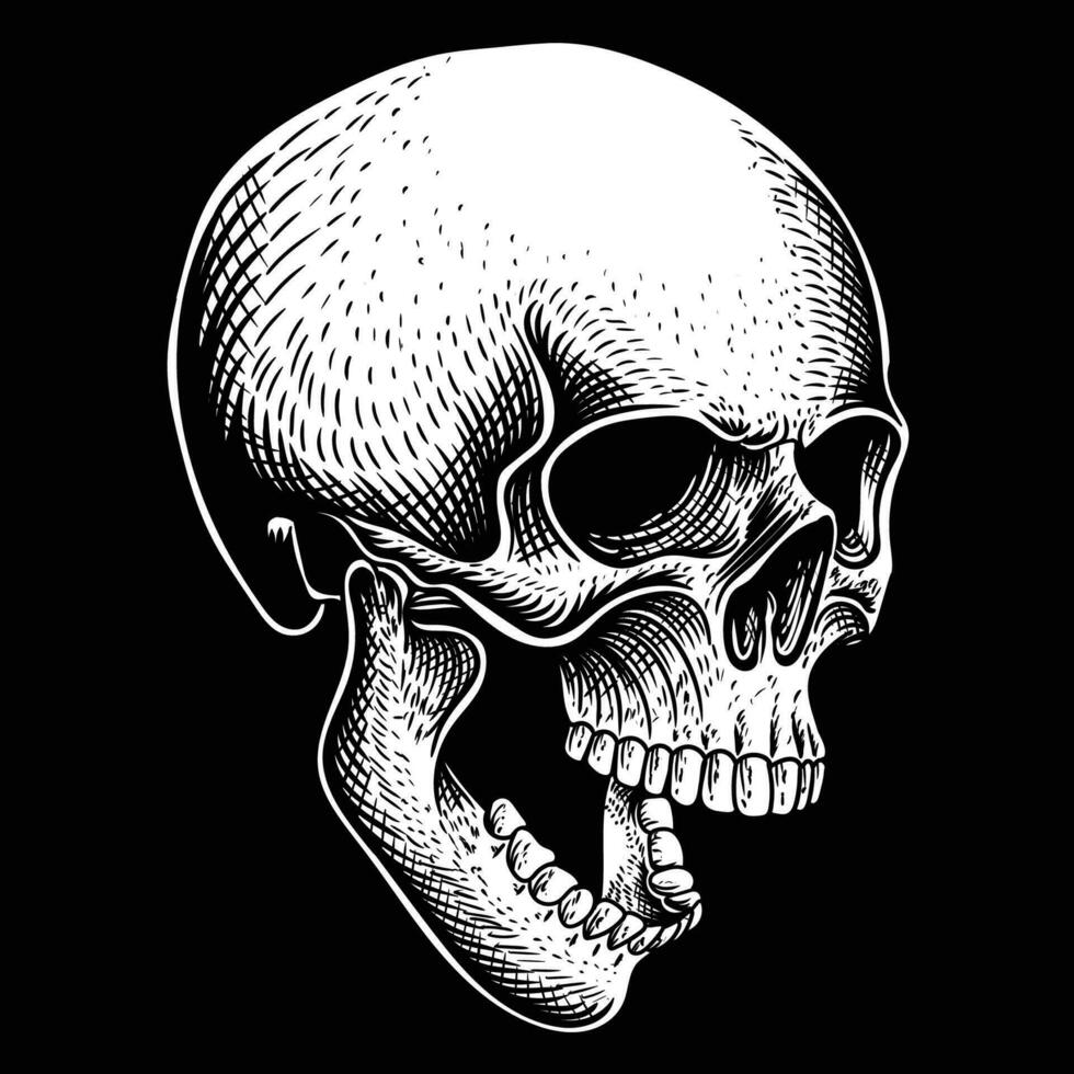 Skull position facing obliquely down vector illustration