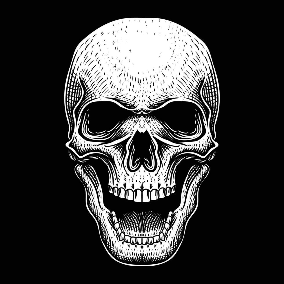 Skull position facing forward vector illustration