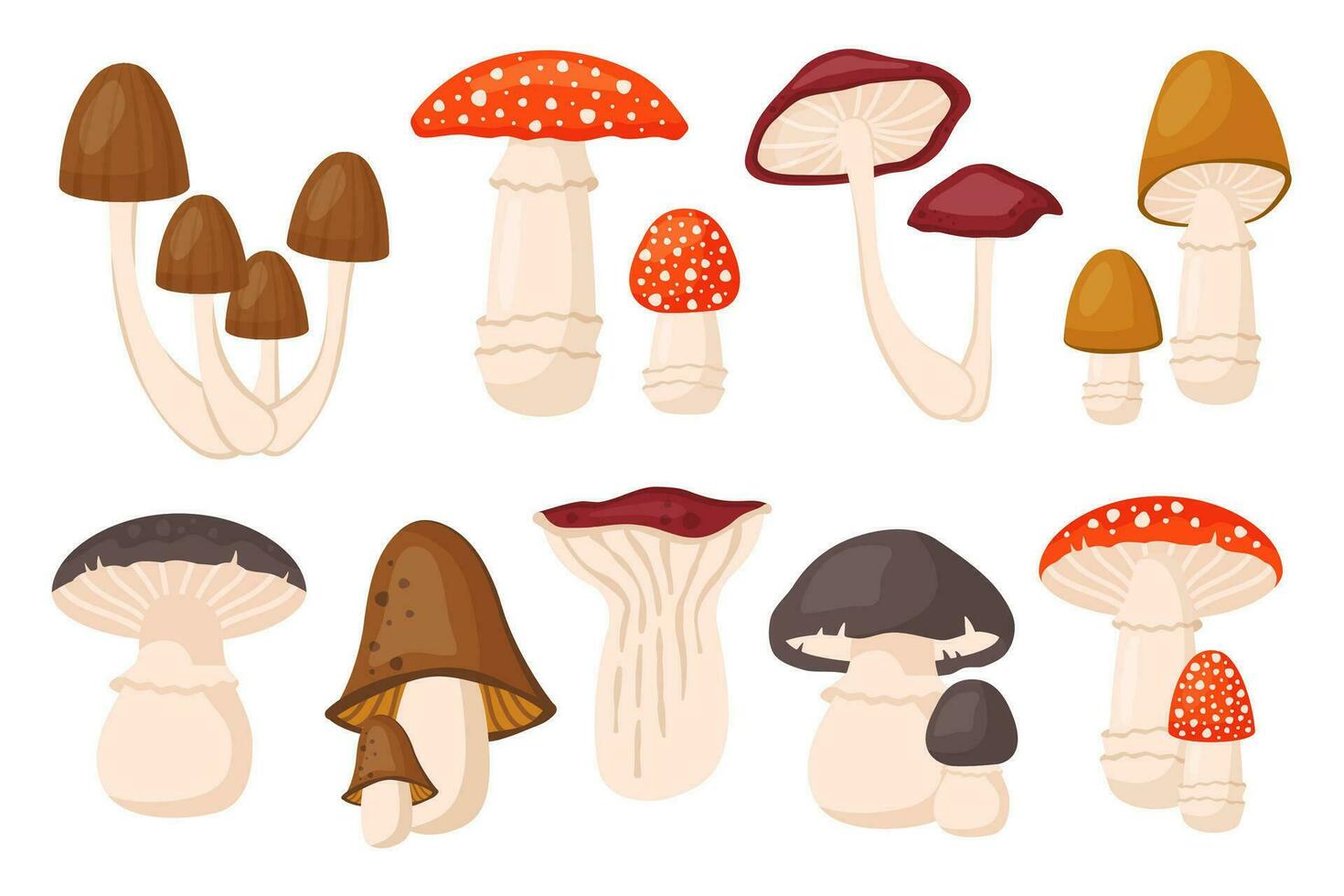 Set of forest mushrooms isolated. Collection of Autumn raw edible and toxic fungus. Porcini, chanterelle, fly agaric, toadstool. Fall seasonal harvest. Vector cartoon illustration