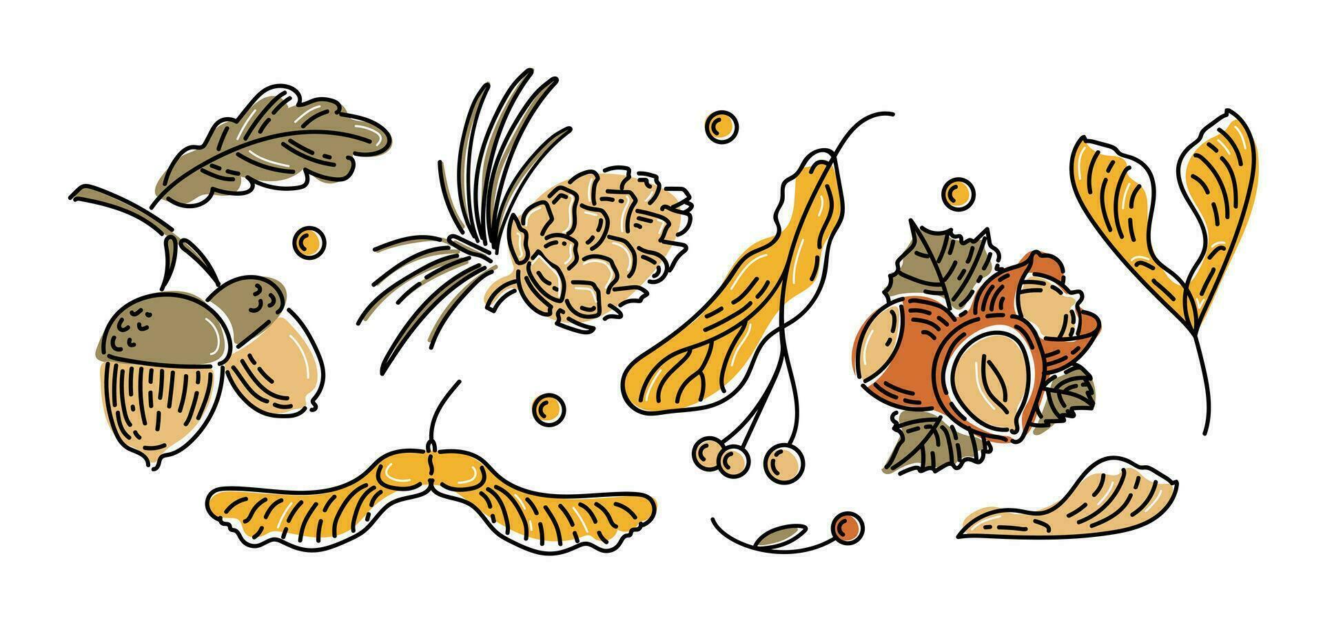 Set of modern bright icons of autumn nuts and seeds. Acorns with leaves, cedar cone, linden seeds, hazelnuts, maple lionfish seeds. Sketch style. For stickers, web design, postcards. vector