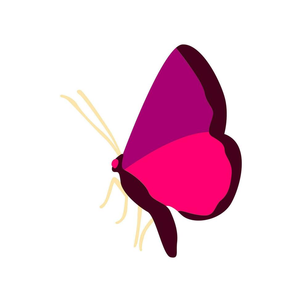 elegante mariposa. mano dibujado vector ilustración.