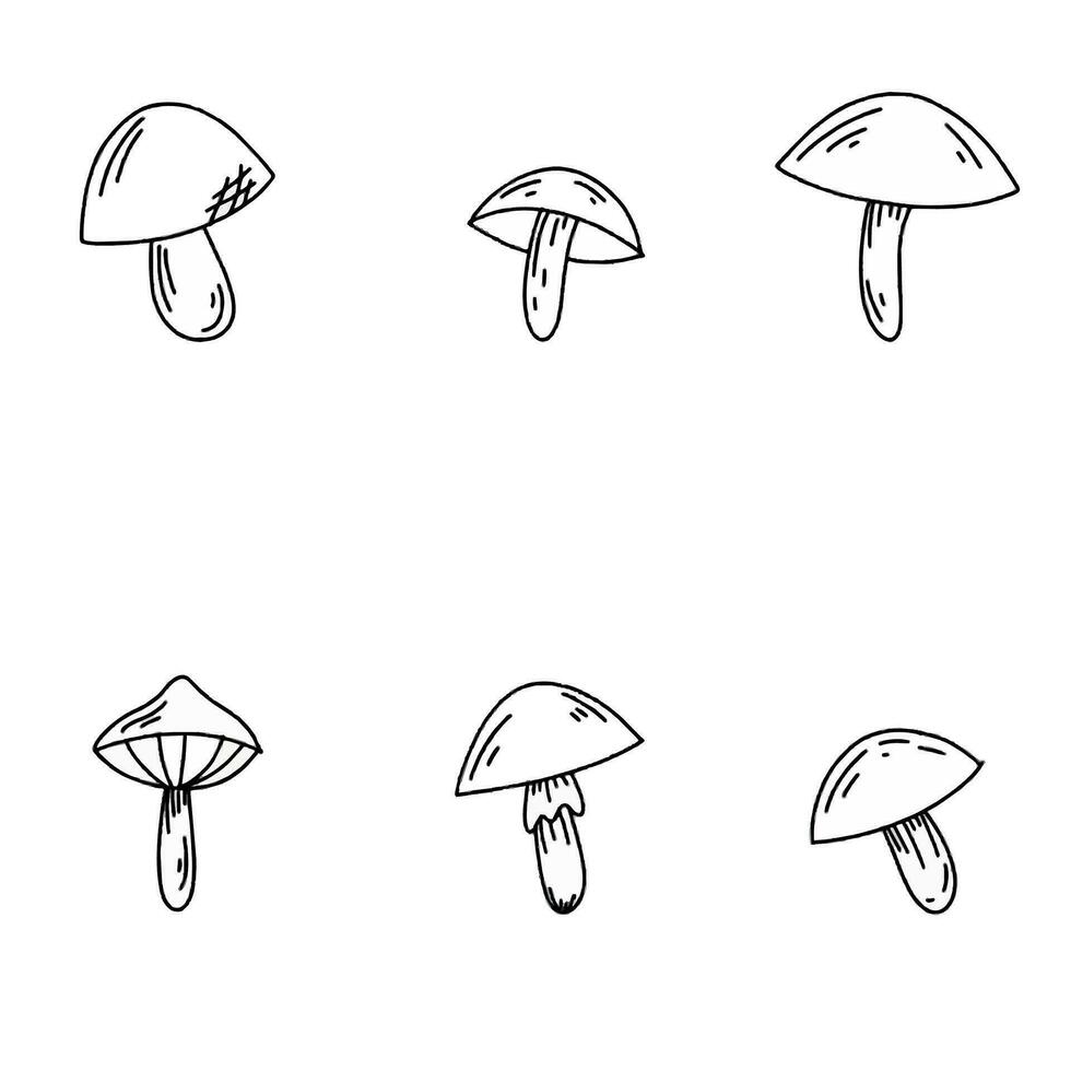 A set of mushrooms. Autumn and fall isolated elements. cute doodle style line art vector