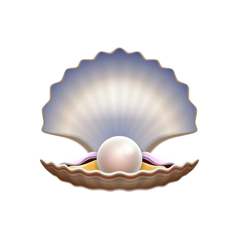 Cartoon scallop shell with pearl, natural beauty vector