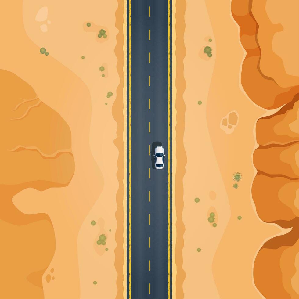 Desert road top view of car driving along highway vector