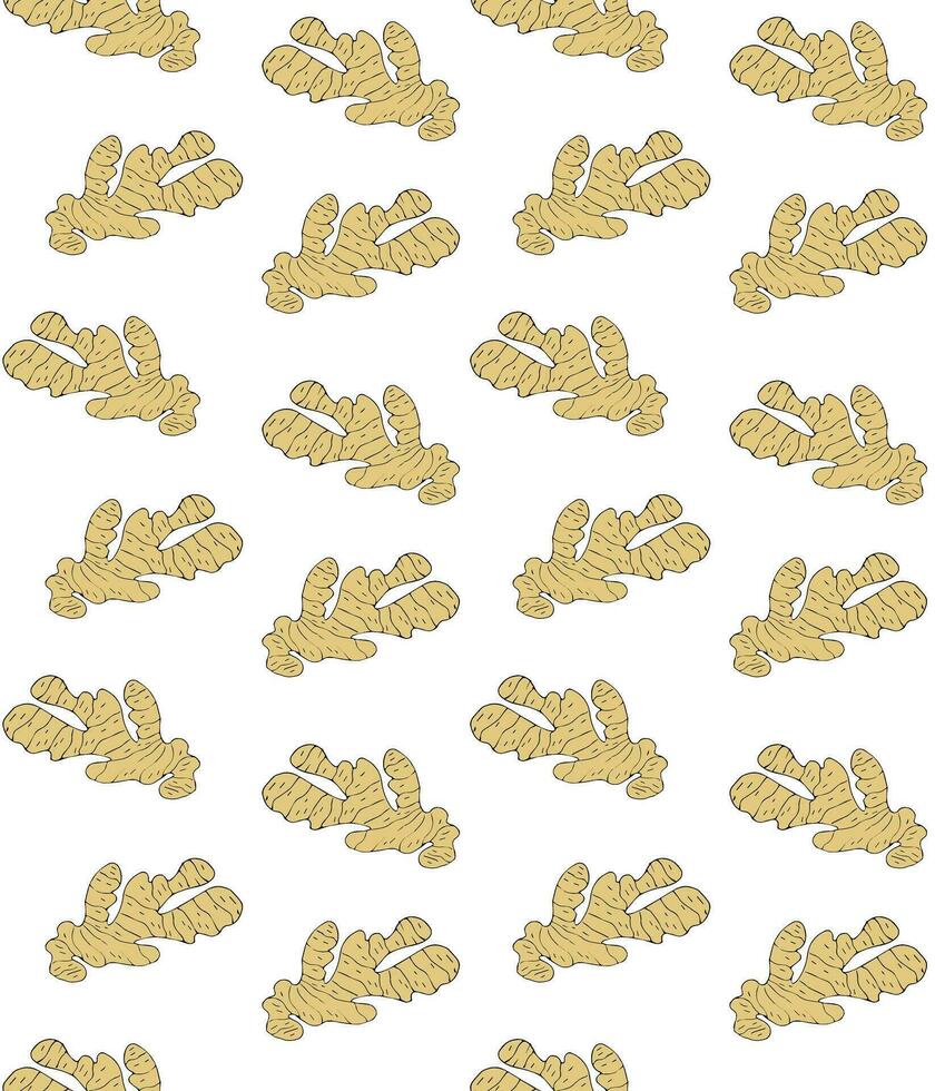 Vector seamless pattern of sketch ginger root