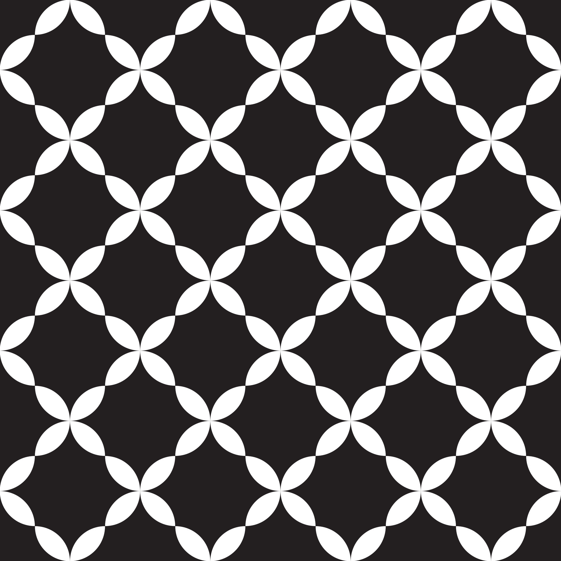 Seamless Black And White Floral Pattern Vector Illustration 26621502
