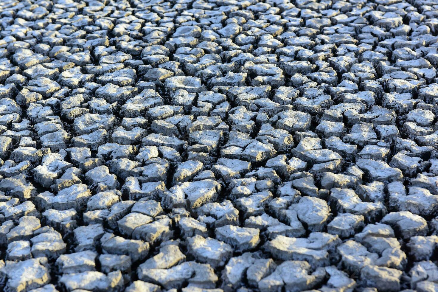 Mud  cracks background photo