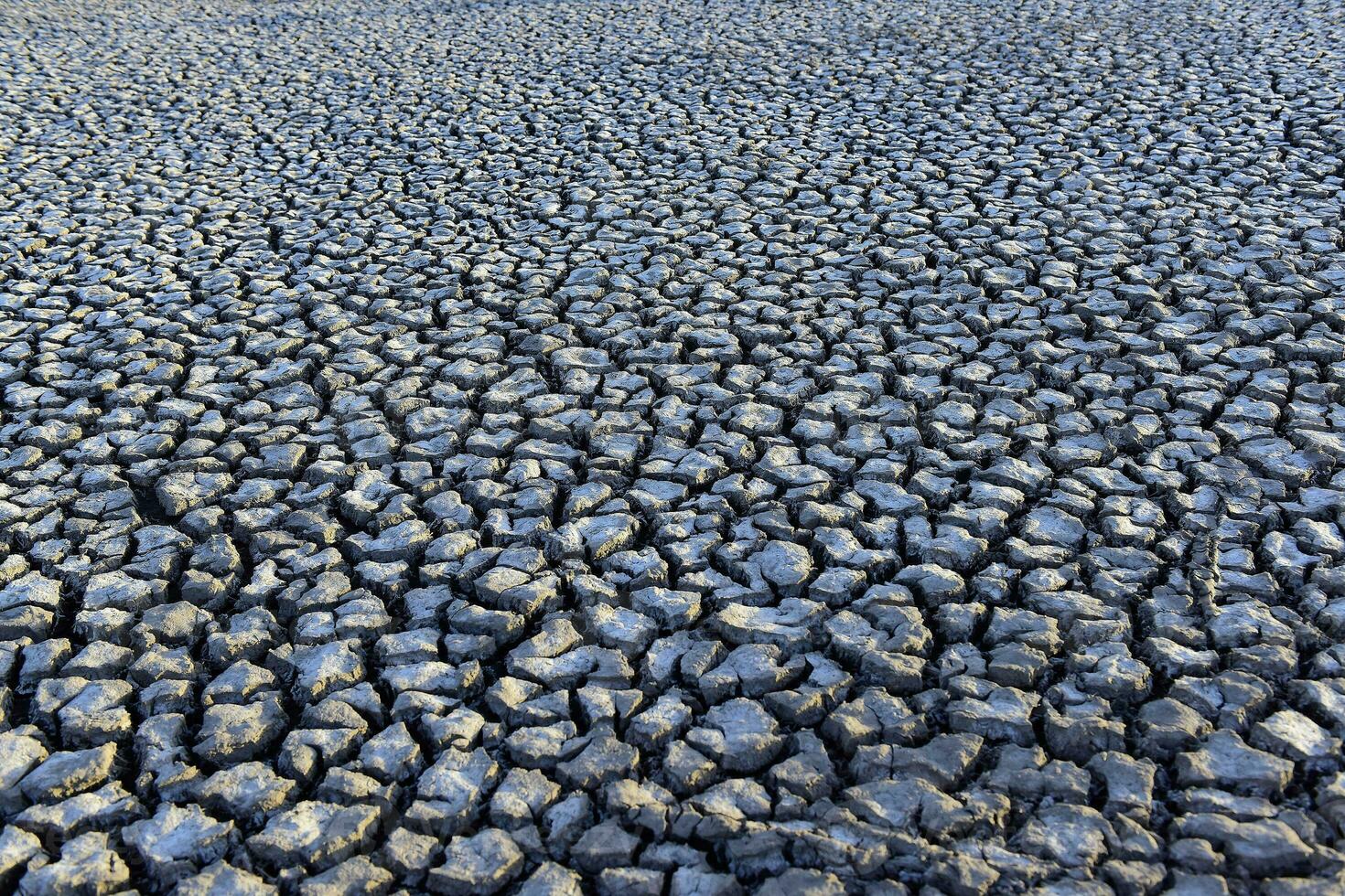 Mud  cracks background photo