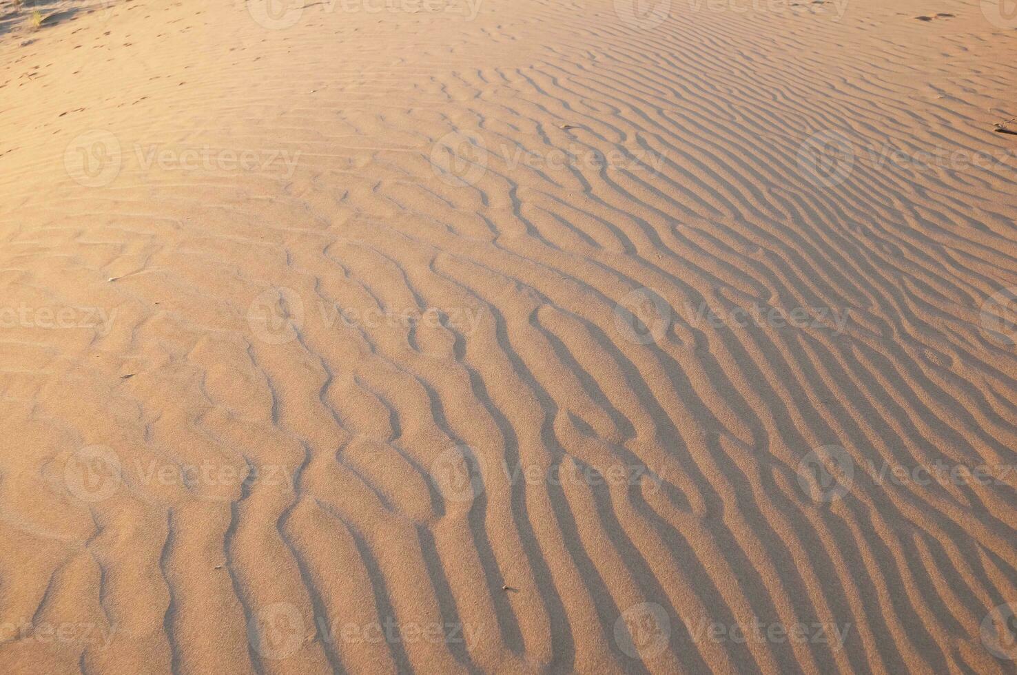 Sand dunes in Pampas, Argentina photo