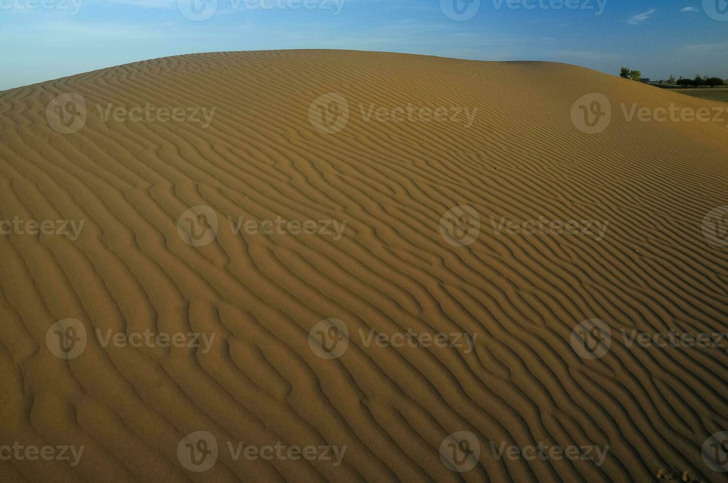 Sand dunes in Pampas, Argentina photo