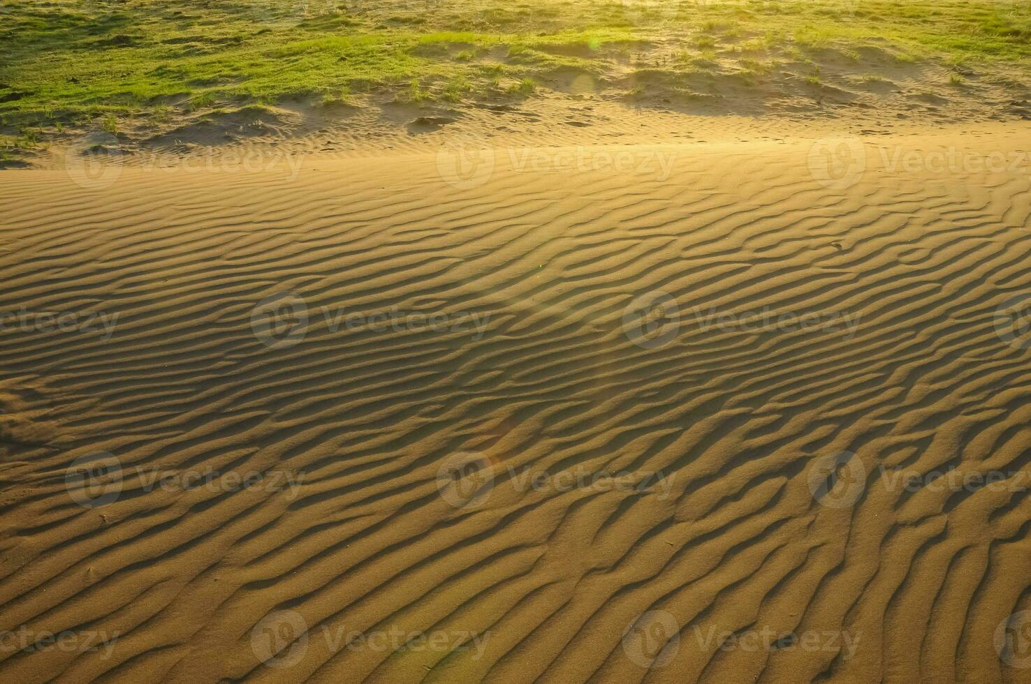 Sand dunes in Pampas, Argentina photo