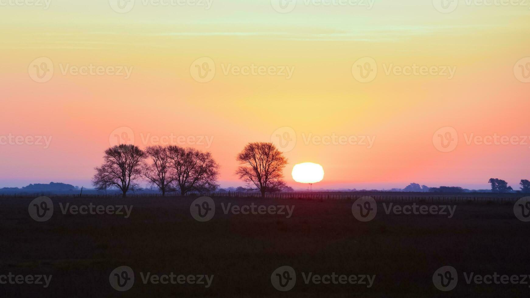 puesta de sol en las pampa, argentina foto