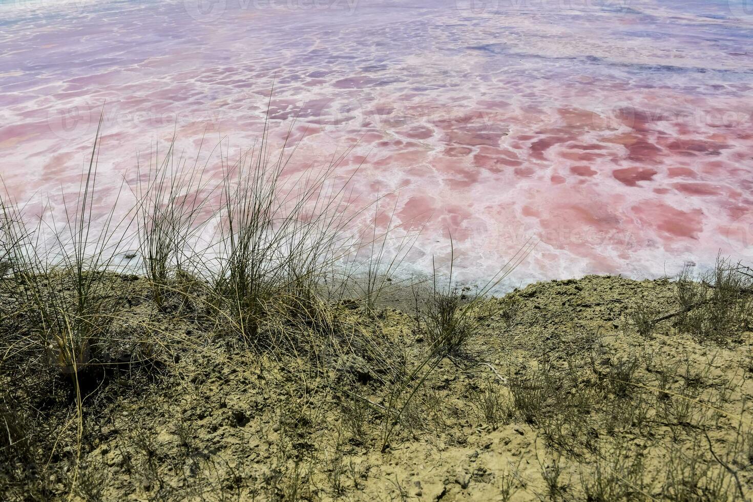 Salt field in Dunaliella Salina, Argentina photo