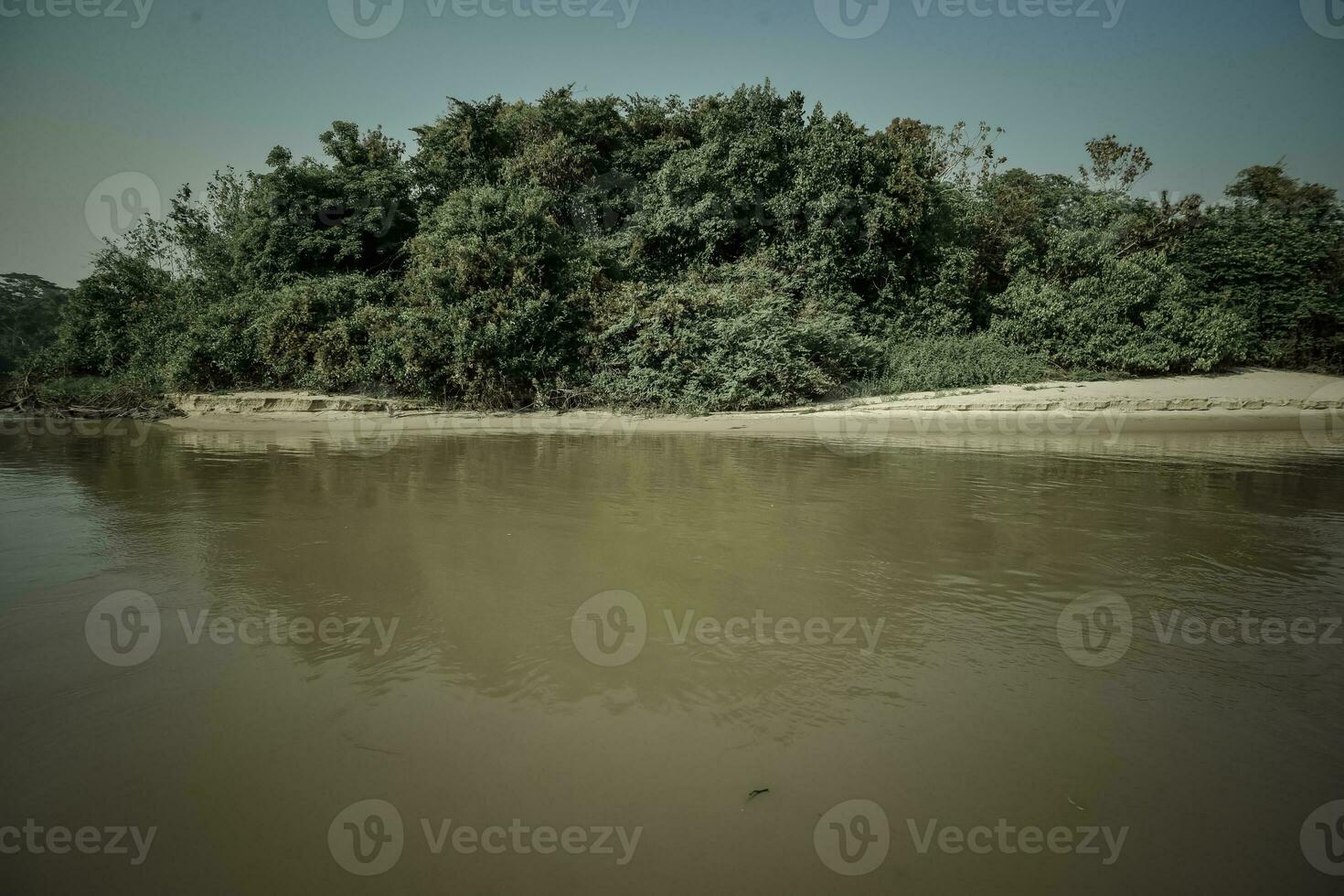 Brazilian Pantanal landscape view photo