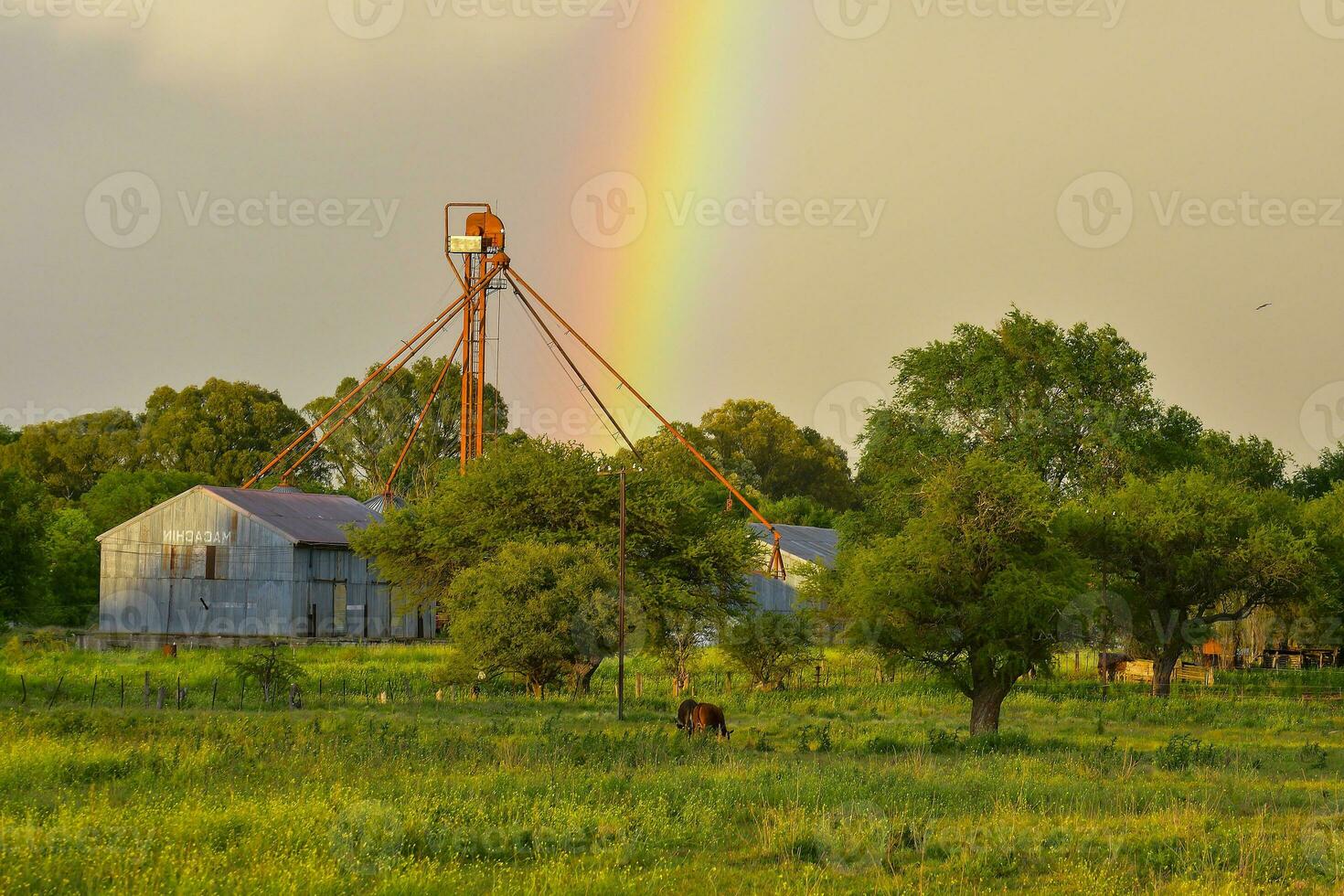 arco iris terminado el arboles foto