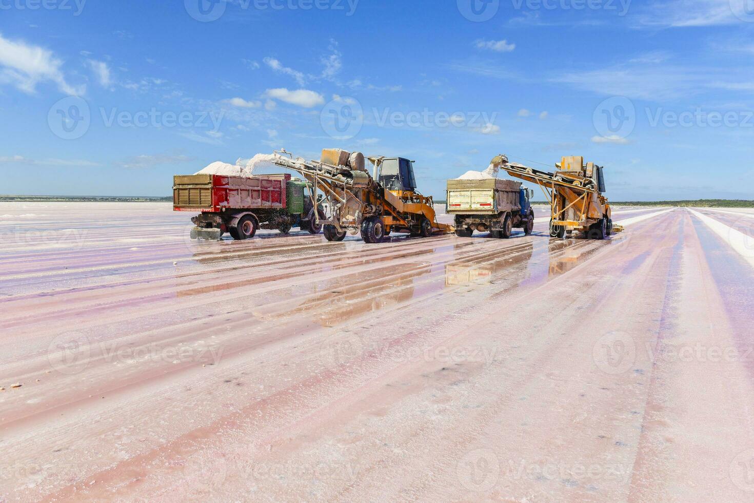 Salt field in Dunaliella Salina, Argentina photo