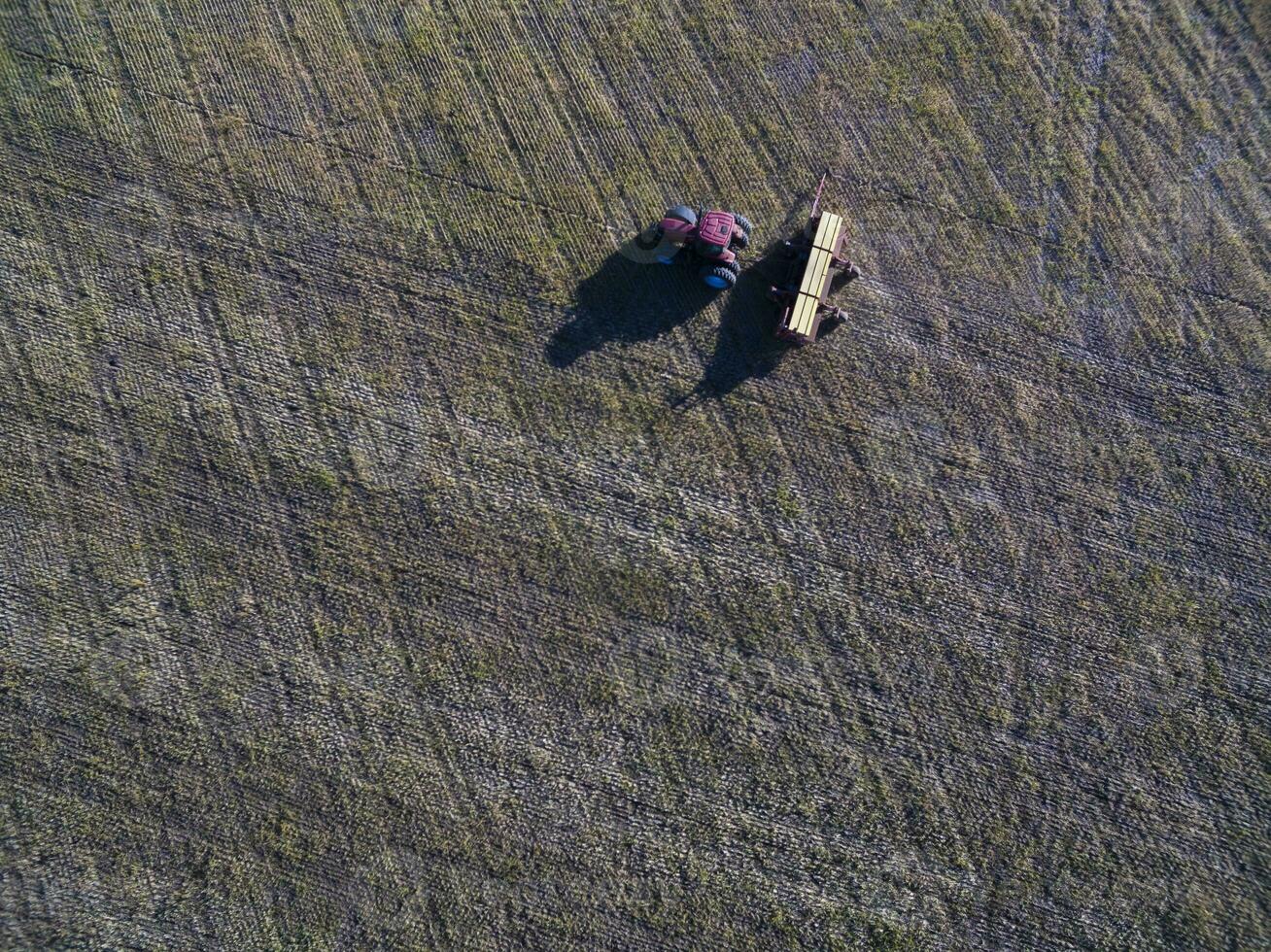 Cultivated land, aerial view, La Pampa, Argentina photo