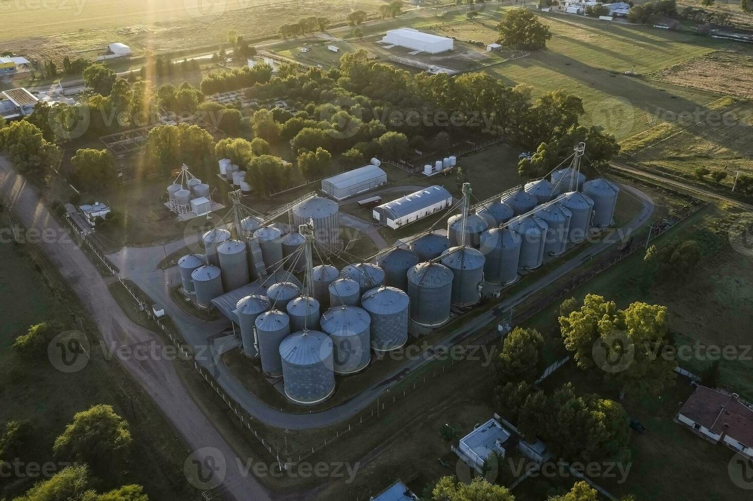 cultivado tierra, aéreo vista, la pampa, argentina foto