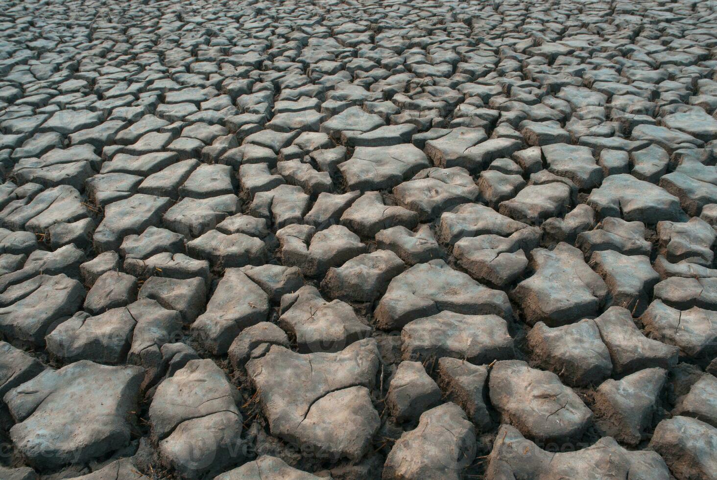 Mud cracks and dry soil photo
