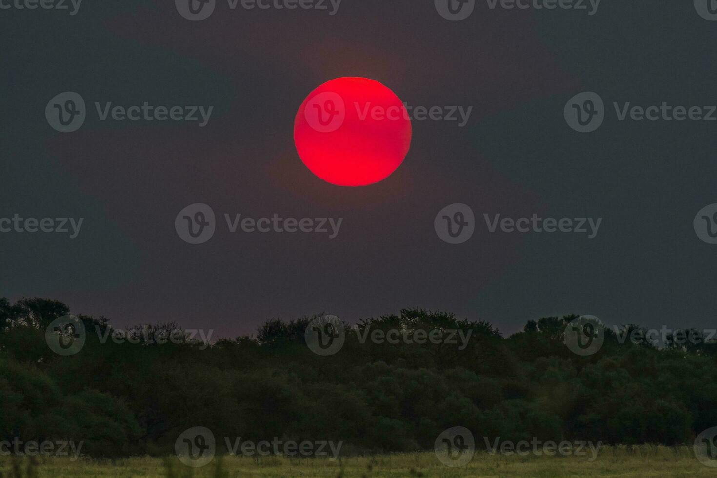 a red sun is seen in the sky over a field photo