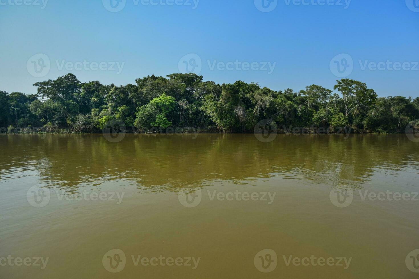 Brazilian Pantanal landscape view photo