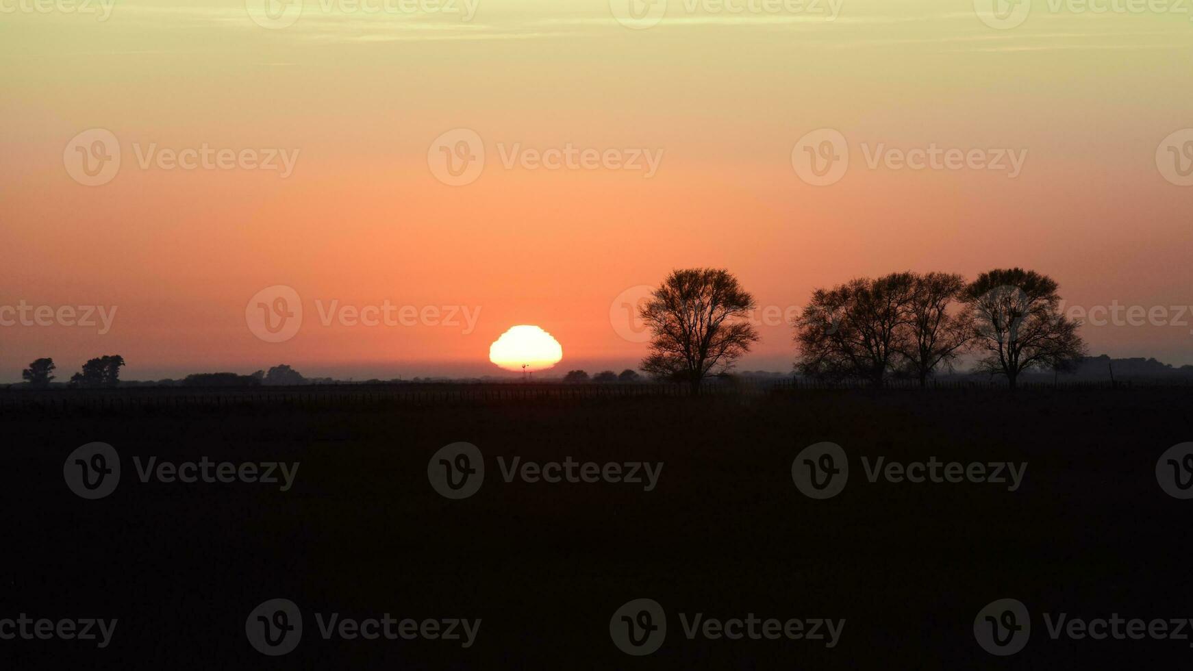 Sunset on Las Pampas, Argentina photo