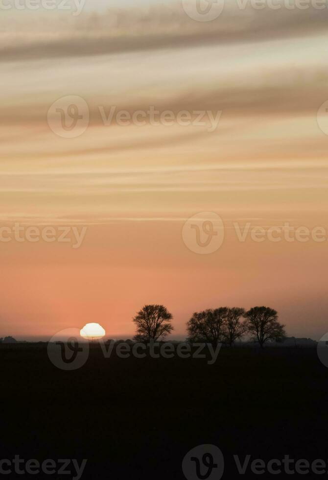 puesta de sol en las pampa, argentina foto