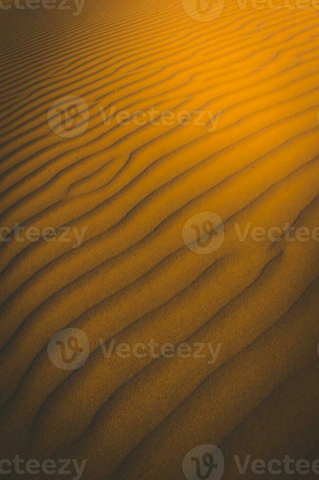 Sand dunes in Las Pampas, Argentina photo