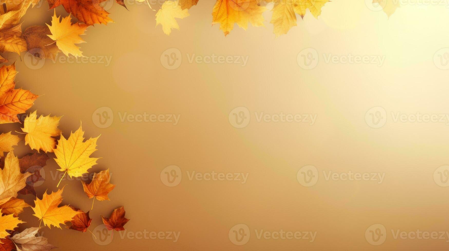 Autumn leaves background with copy space photo