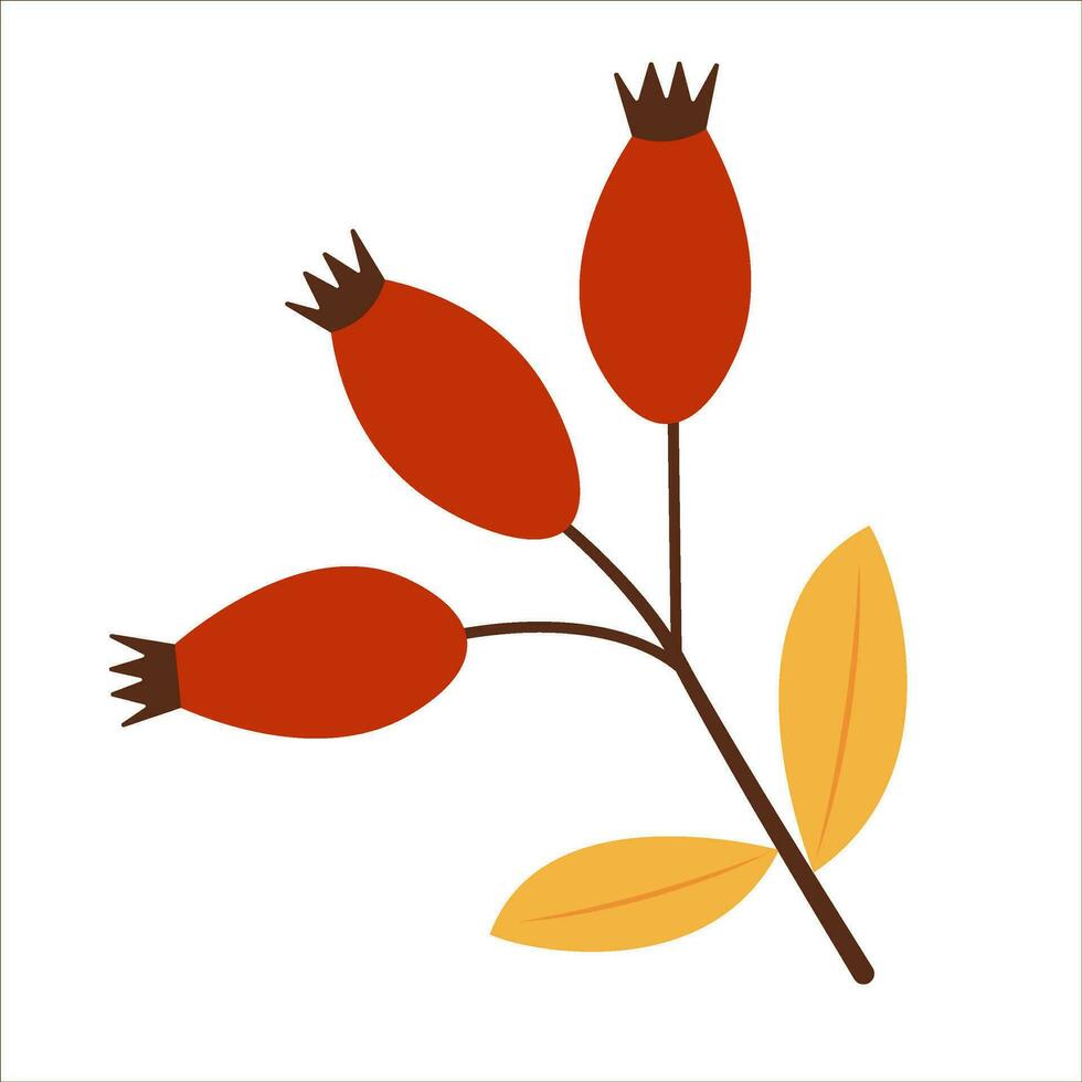Autumn branch of wild rose with berries. Flat vector illustration