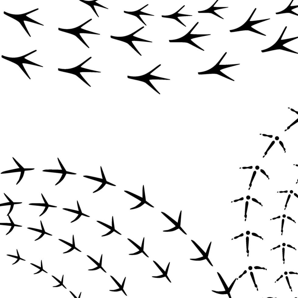 pattern with traces of various animals and birds. vector