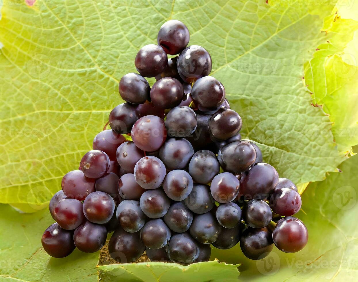 Ripe grapes isolated on a green leaf photo