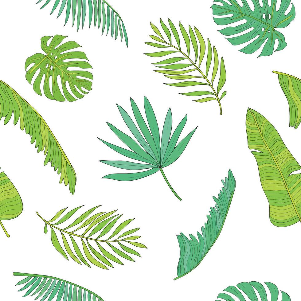 Tropical palm, monstera, chamaedorea leaves seamless pattern background vector
