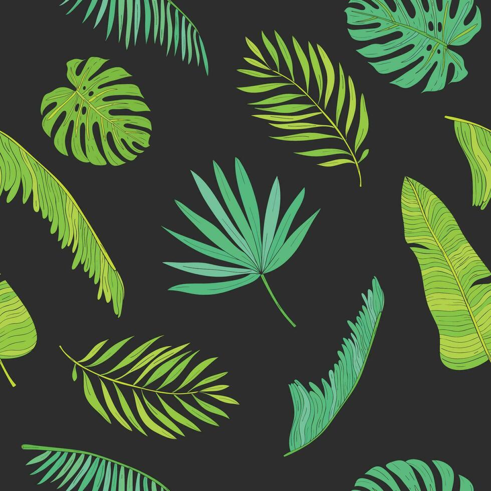 Tropical palm, monstera, chamaedorea leaves seamless pattern black background vector