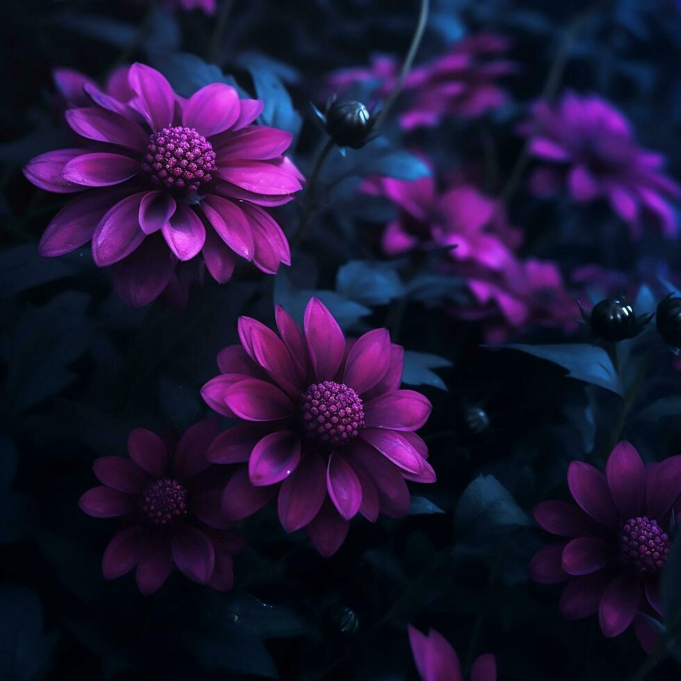 Purple flowers closeup photo