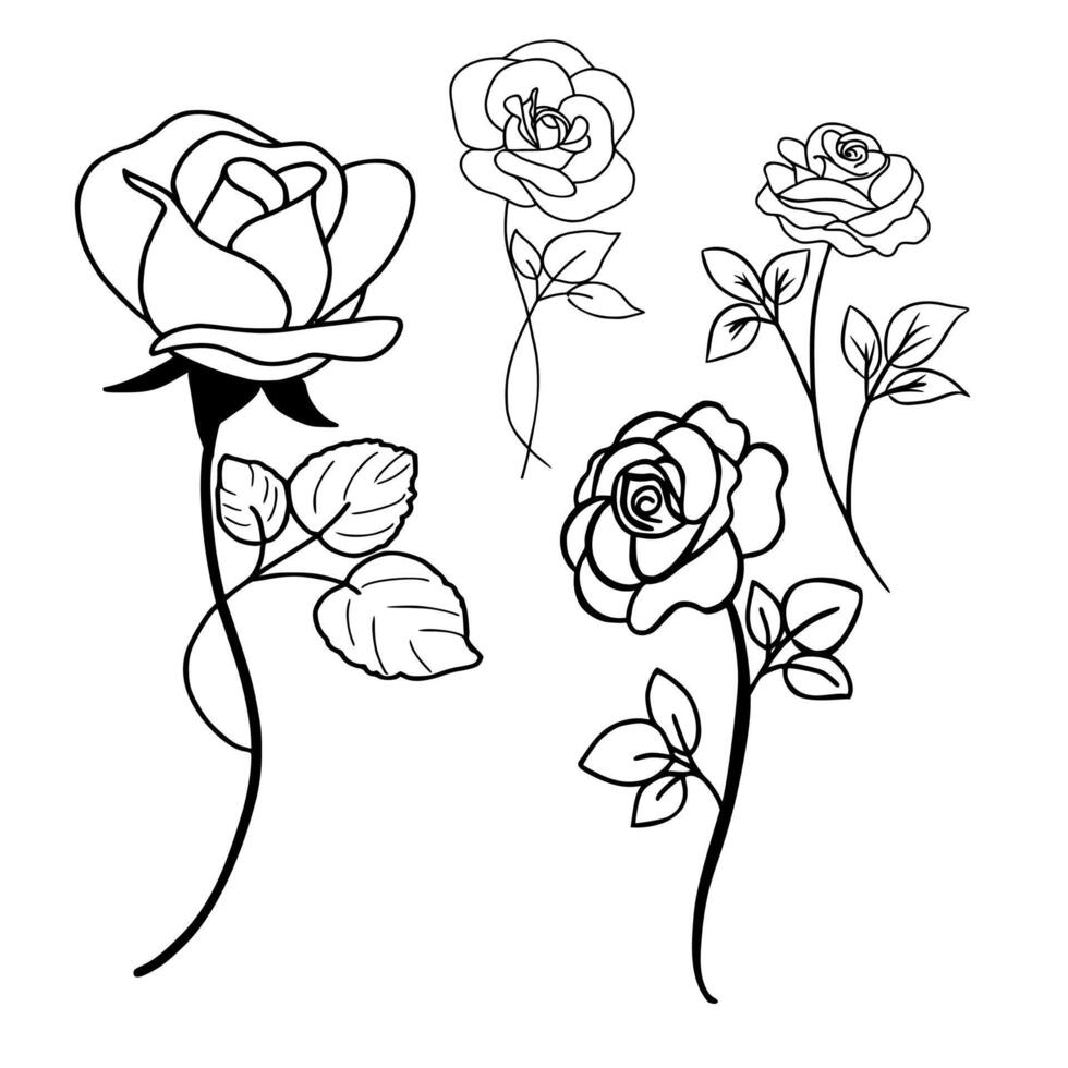 Hand drawn flower set rose collection vector