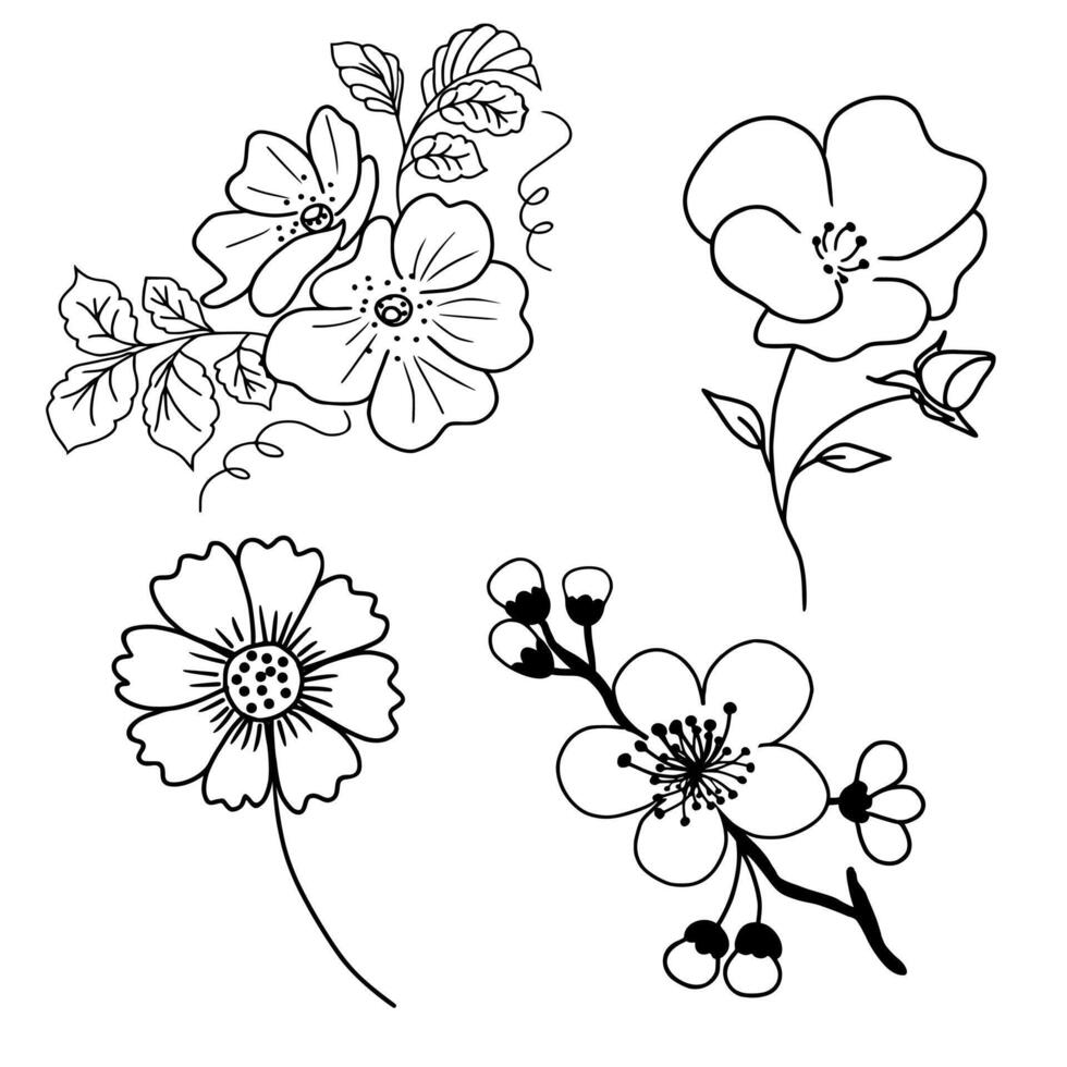 Hand Drawn Flowers Line Art Ornament Set Collection vector