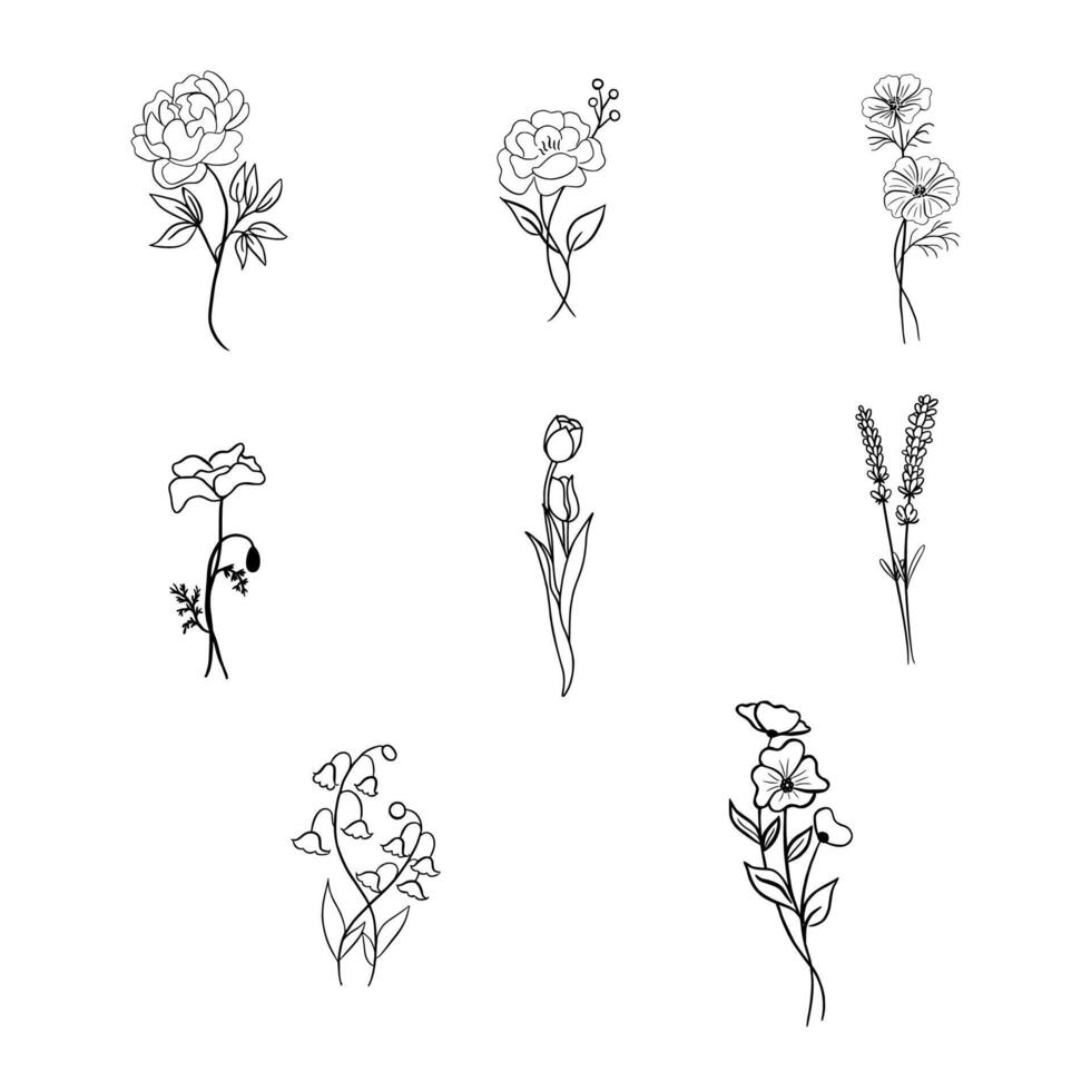 Set Of Flower Botanical And Leaf Doodle Line Art vector