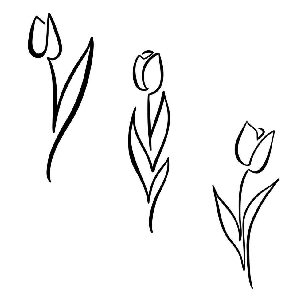 conjunto de continuo uno línea dibujo flores de tulipanes vector