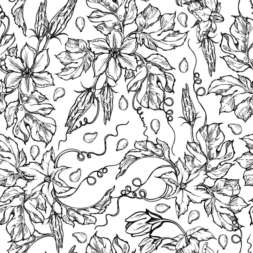 Hand drawn ink vector pumpkin gourd squash leaves and flowers. Sketch illustration art for Thanksgiving, harvest, farming. Seamless pattern. Design for restaurant menu print, cafe, website, invitation