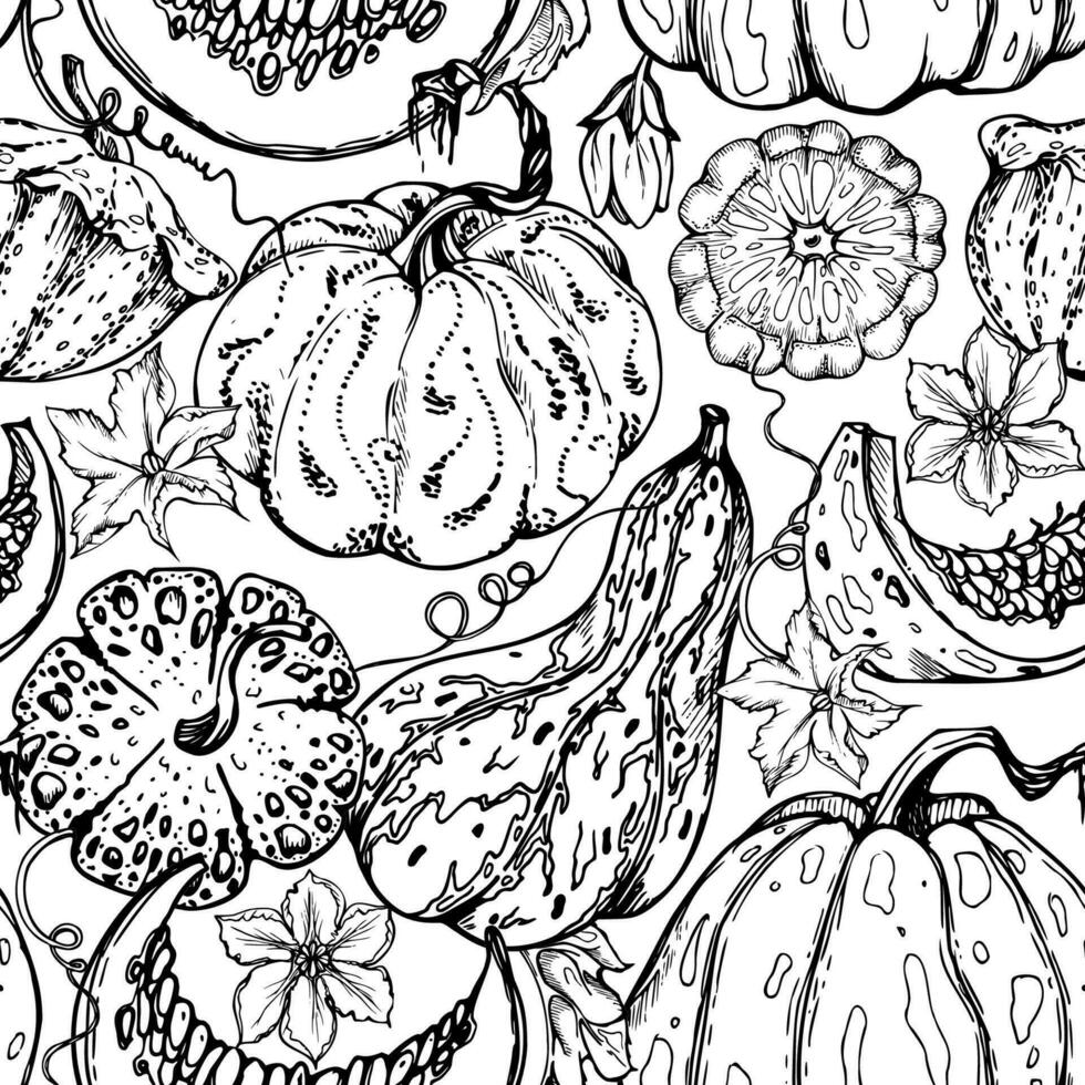 Hand drawn ink vector pumpkin gourd squash, flowers and vine. Sketch illustration art for Thanksgiving, harvest, farming. Seamless pattern. Design for restaurant menu print, cafe, website, invitation